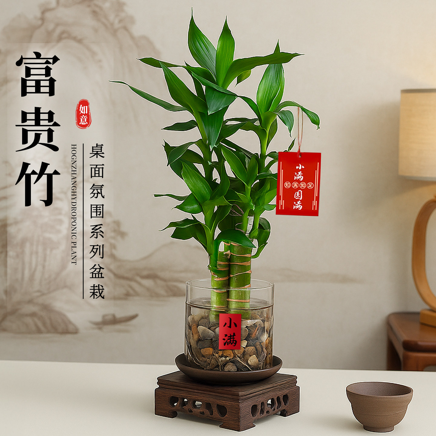 文昌竹富贵竹步步高升水培植物绿植花卉盆栽办公室内桌面禅意摆件