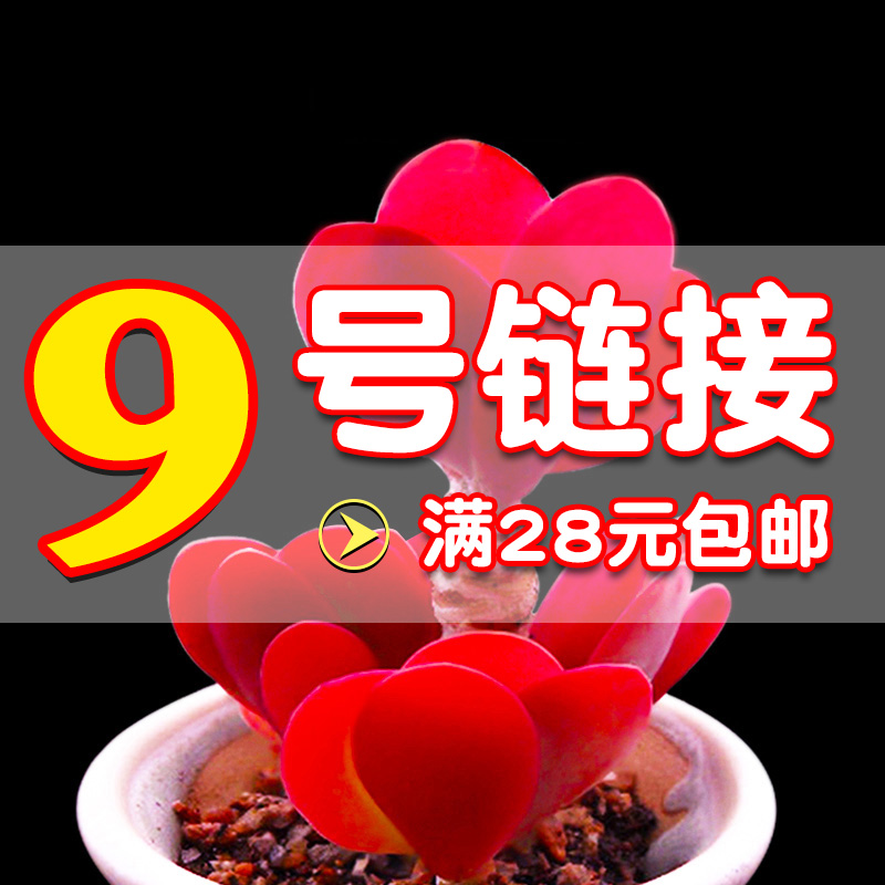 9ÔªÅú·¢