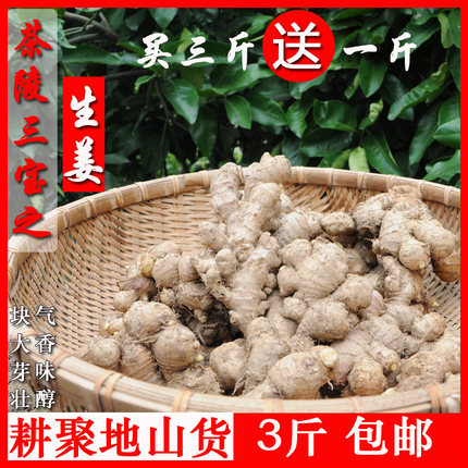 湖南特产茶陵三宝潞水深山无污染新鲜生姜窖姜黄姜老姜2千克包邮