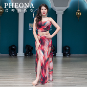 高端练功服性感印花网纱演出服T007 2024新款 女神 新衣肚皮舞服装