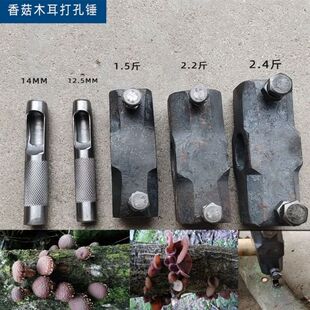 种香菇工具锤椴木菌种打孔锤 木耳打孔锤 双头打孔器锻打一整套