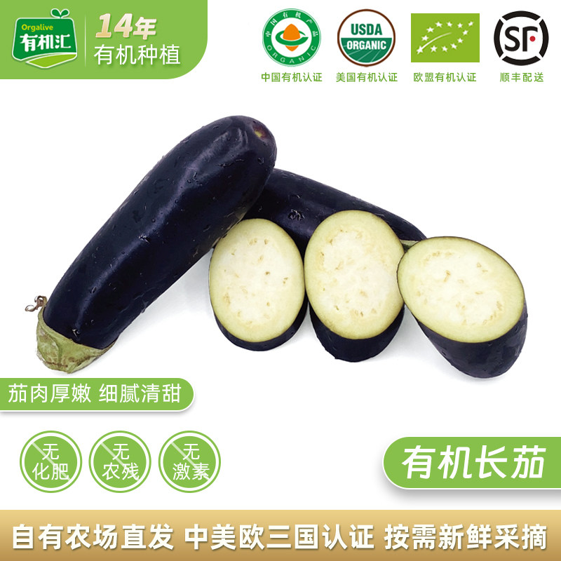 有机汇有机长茄 新鲜无农残茄子农家自种有机蔬菜配送烧烤露营