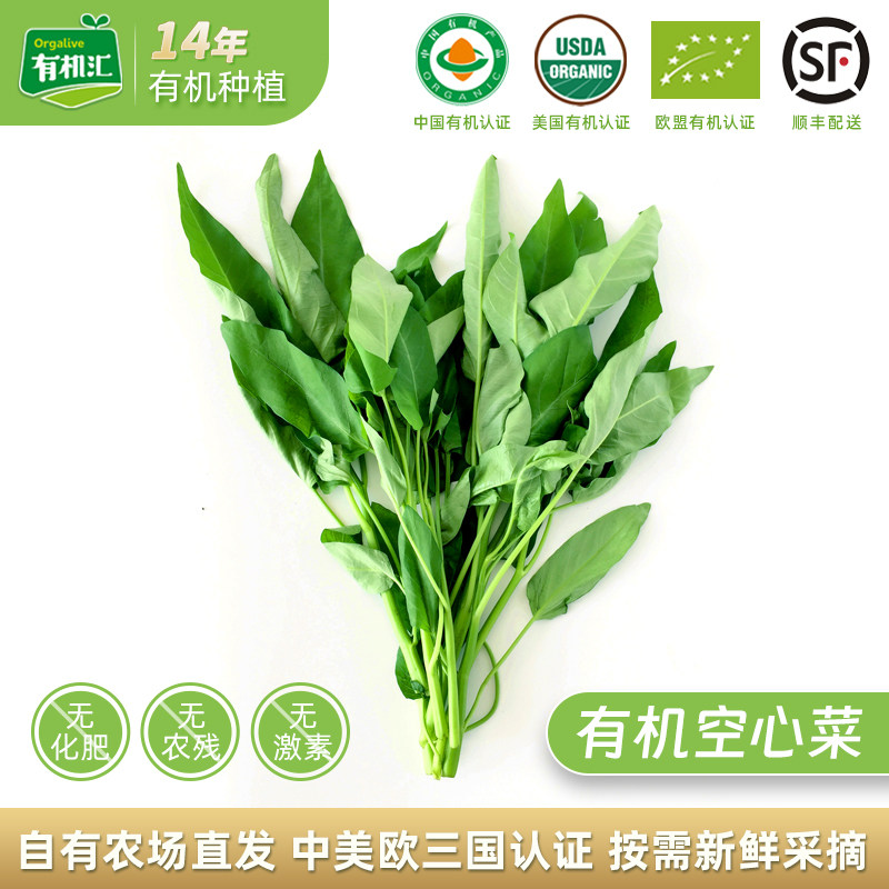 有机汇 有机空心菜绿叶青菜蔬菜新鲜宝宝辅食现摘现发发顺丰