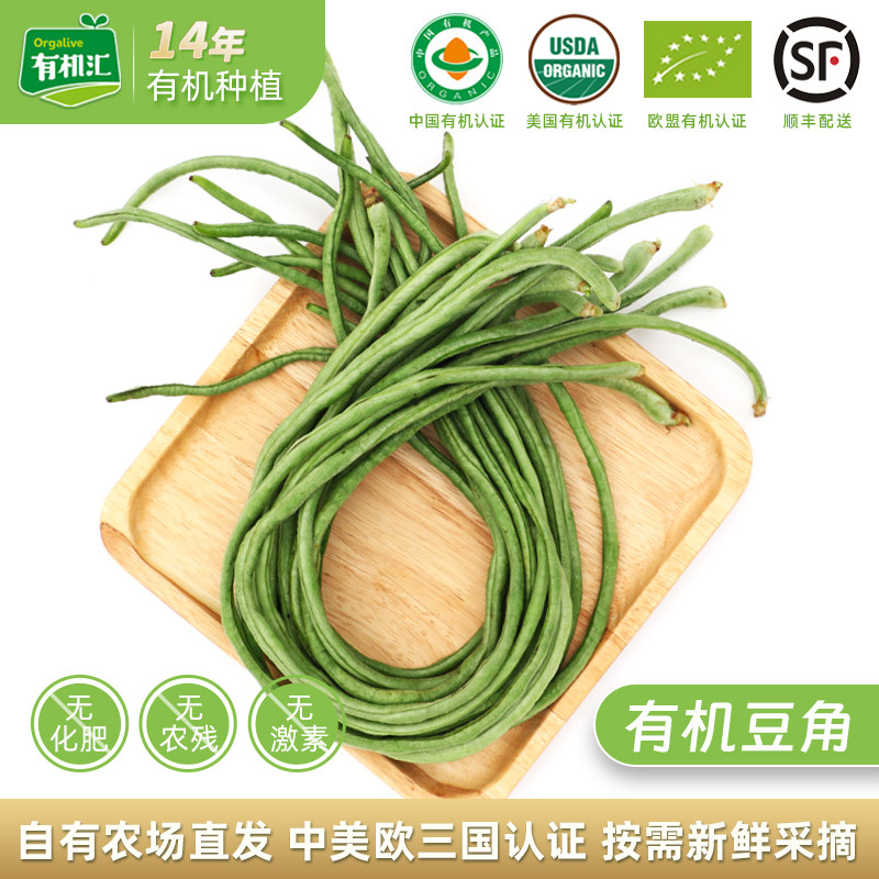 有机汇有机豆角 长豇豆大肉甜山东豆角新鲜蔬菜顺丰配送无农残