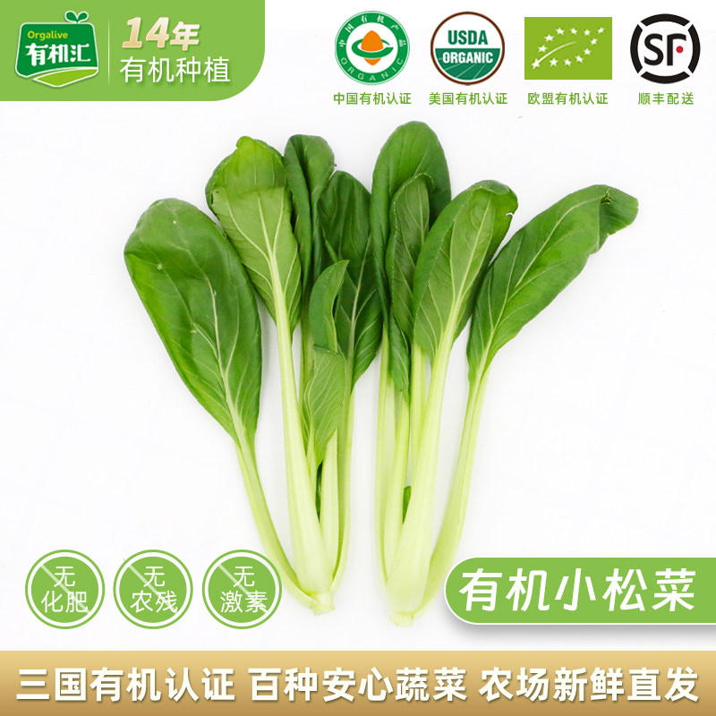 有机汇有机小松菜 新鲜蔬菜青菜绿叶菜鸡毛菜农家自种小青菜