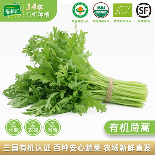 有机汇有机茼蒿 无农残蔬菜新鲜叶菜青菜烧烤清炒火锅食材绿叶菜