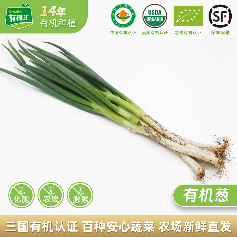 有机蔬菜有机大葱新鲜采摘