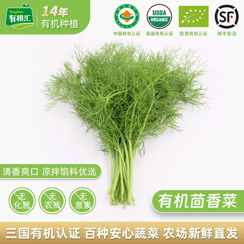 有机茴香菜 有机汇新鲜蔬菜小茴香香丝菜青菜香辛调味现摘现发