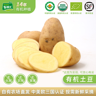 有机汇有机大土豆 新鲜有机蔬菜无农残黄心山东马铃薯糯甜 包邮