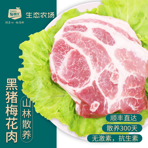 有机汇冷冻黑猪肉梅花肉0激素