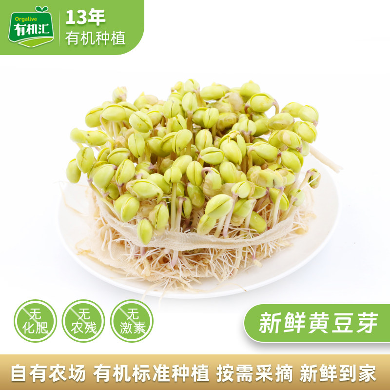 有机汇新鲜黄豆芽 水生豆芽菜农场现摘蔬菜自然发芽无农残,水产肉类/新鲜蔬果/熟食,叶菜类,淘宝优惠券,粉丝福利购,淘宝优惠卷