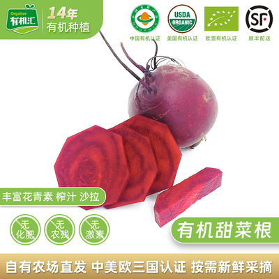 有机甜菜根营养榨汁有机零农残