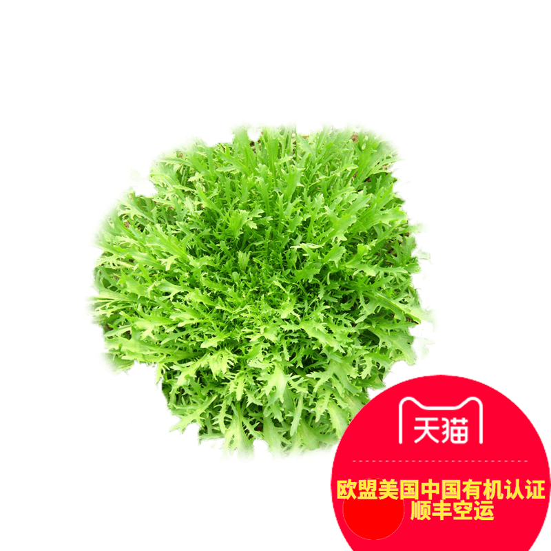 Óлú»ã Óлú¿àÜÄÐÂÏÊÊß²ËÕ¥Ö500g