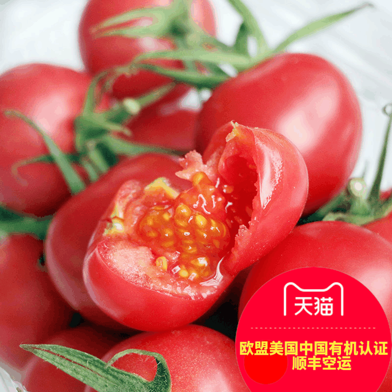 Óлú»ã ÓлúС·¬ÇÑʥŮ¹ûɳÀСÎ÷ºìÊÁ500g