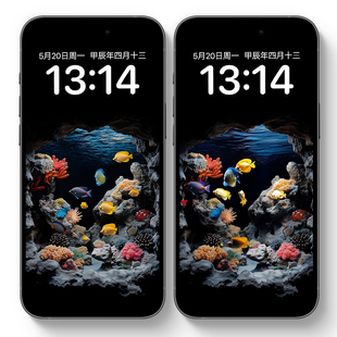 海底世界鱼群手机动态壁纸实况图片苹果安卓手机高清锁屏视频素材