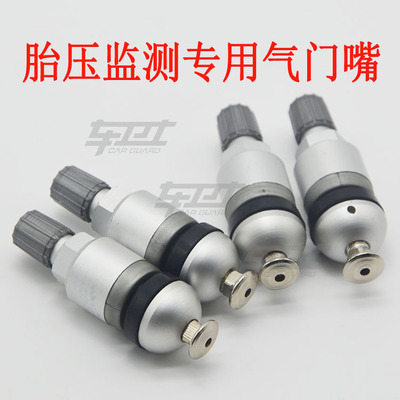 奥迪A6 大众 宝马 奔驰 保时捷胎压监测传感器压力气门嘴气嘴帽子