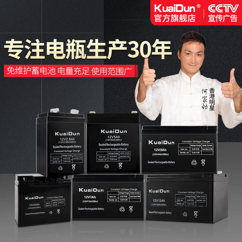 12v5ah蓄电池12v5ah电瓶12v5a蓄电池门禁后备电源UPS备用电源12v