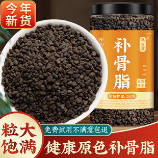 深山野生补骨脂中药材500g黑故子补骨脂粉中药补骨子婆原色无硫