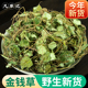 野生金钱草中草药正宗川金钱草四川大叶金钱草干货广金钱泡水泡茶
