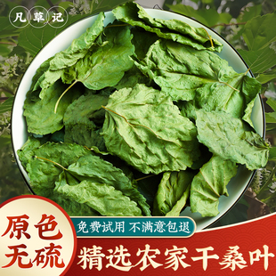 野生桑叶中药材500g新货无杂桑树叶霜桑叶秦岭老树桑叶干桑叶泡茶