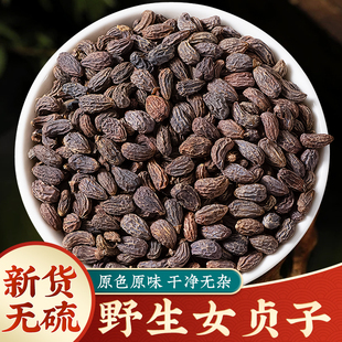 野生女贞子中药材500g新货菟丝子正品女真子中药枸杞旱莲草泡茶