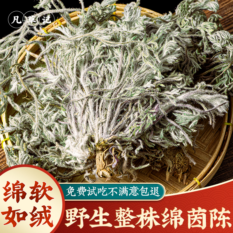 野生绵茵陈中药材500g蒿茶三月茵陈草药白蒿茵陈蒿茵陈茶泡茶水喝