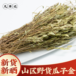 野生瓜子金中药材500g新货来马回中草药瓜子金草干黄瓜仁草瓜子草