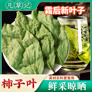 干柿子叶中药材新鲜柿子叶茶干货柿子叶粉柿叶霜后柿子叶干泡茶水