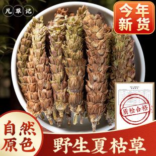 野生夏枯草中药材正品夏枯球新鲜夏菇草夏枯草猫爪草夏姑草夏谷草