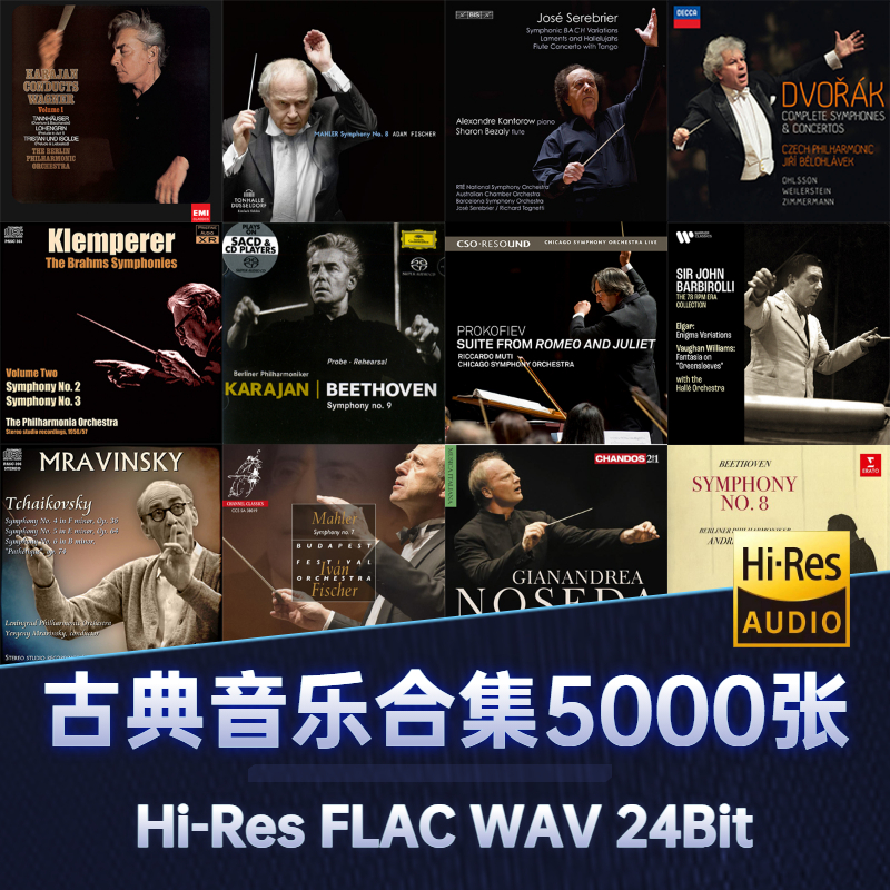 HiRes古典音乐无损FLAC音源发烧HiFi高品质母带24Bit无损音乐合集 乐器/吉他/钢琴/配件 软音源 原图主图