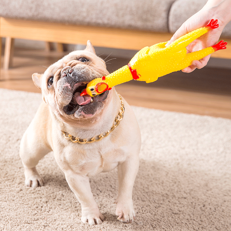 法鬥狗狗玩具發聲尖叫雞解悶神器磨牙耐咬幼犬慘叫雞網紅寵物用品在類目 寵物/寵物食品及用品, 貓/狗玩具, 發聲玩具中 - 來自Buy2taobao.com提供專業的淘寶代購服務