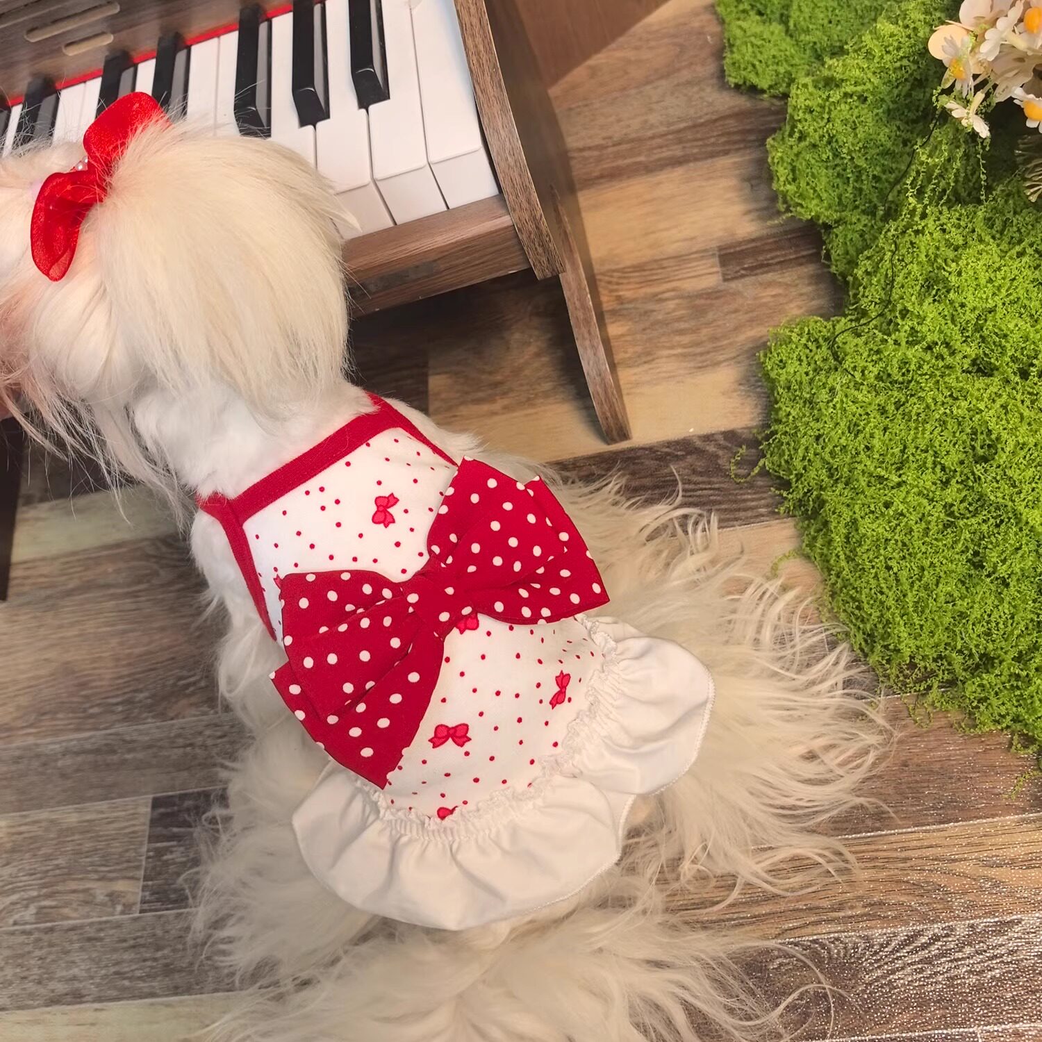 泰迪比熊约克夏马尔济斯宠物猫咪狗狗衣服睡衣秋冬春加绒加厚保暖