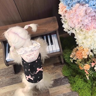 宠物泰迪比熊马尔济斯约克夏冬装保暖羽绒服马甲牵引猫咪狗狗衣服