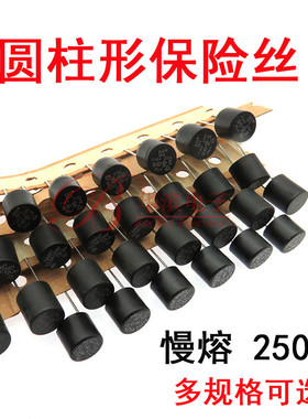 圆柱保险丝管 T2A 2.5A 3A 3.15A 4A 5A 6.3A/250V 慢熔延时黑色
