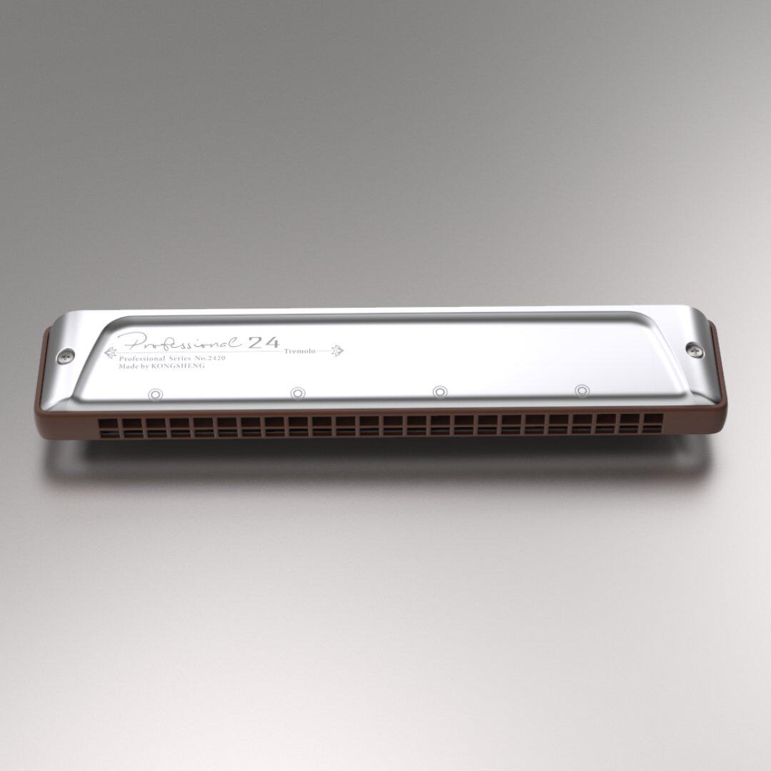 24孔口琴高级成人专业演奏级孔声复音重音口琴乐器2420