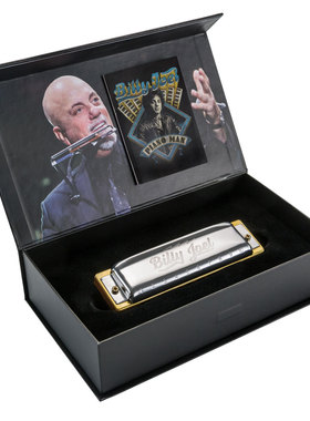 德国和来Hohner Billy Joel 比利·乔尔十孔布鲁斯口琴初学者成人