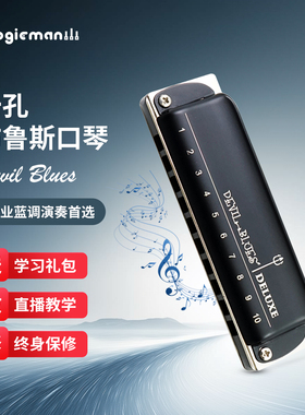 Boogieman布鲁斯蓝调十孔口琴铝琴格Devil Blues10孔初学者paddy