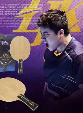 LOKI雷神梁靖昆内置黄芳碳ADC 梁靖崑ALC乒乓球底板特注国家队