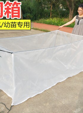 100目育苗孵化网箱渔网幼苗鱼苗