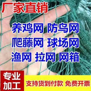 渔网布网拉网鱼网养鱼网箱养殖尼龙网布拦鱼防逃网片专用密网围网