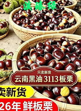 新鲜板栗产地直发2026新货
