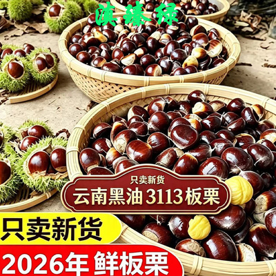 新鲜板栗产地直发2026新货