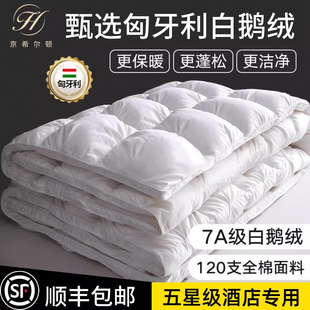 五星级酒店京希尔顿匈牙利白鹅绒冬被羽绒春秋被子家用厚保暖被芯