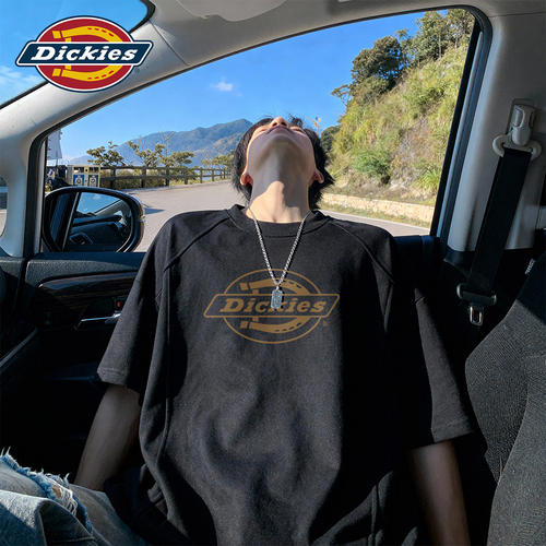 Dickies拼接短袖T恤男款2026新款