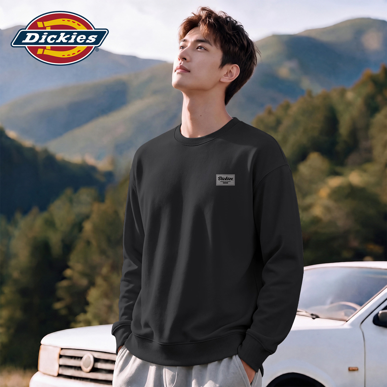 Dickies黑色美式潮牌印花卫衣男秋季宽松百搭情侣长袖上衣男装潮