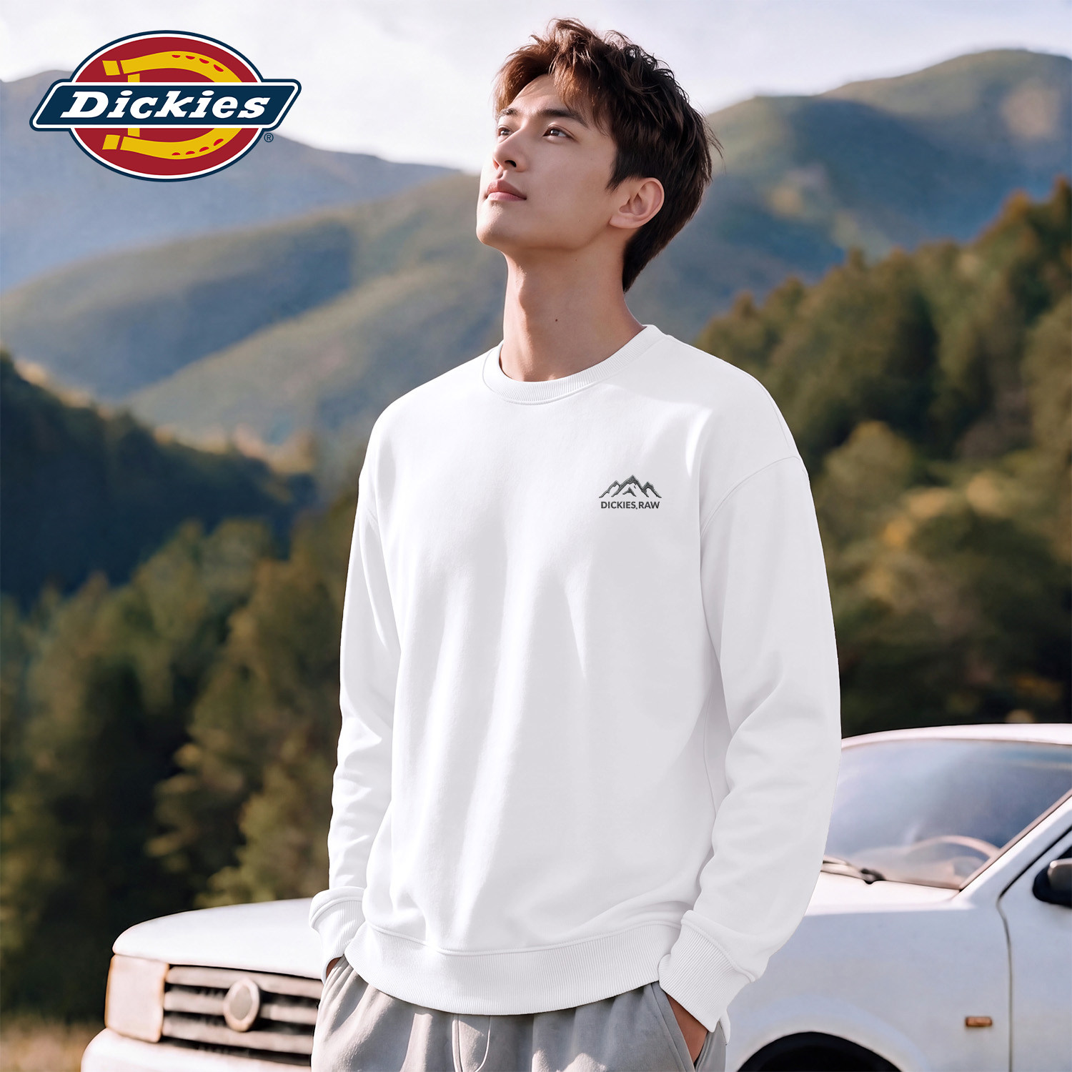 Dickies美式圆领卫衣男士简约休闲秋季打底衫学生上衣男春秋衣服