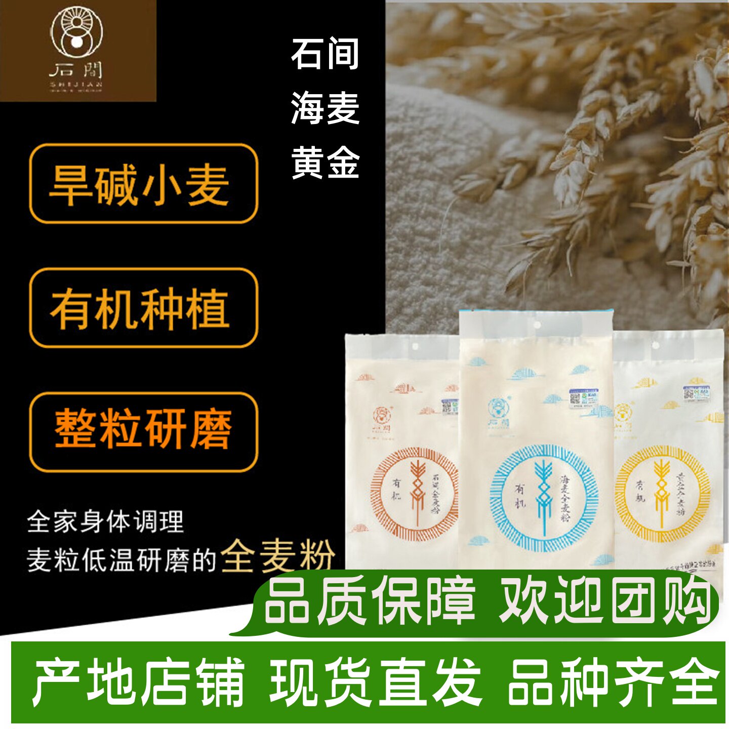 黄金海麦石间有机全麦面粉冬小麦烘培家用石磨低温研磨黄骅旱碱麦
