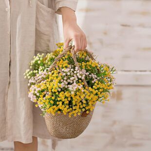 仿真花满天星花束人造花花瓶插花幼儿园小朋友手持道具花艺表演花