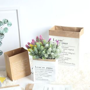 ins现货爆款纸袋牛皮收纳迷你纸袋 双层加厚北欧风花瓶