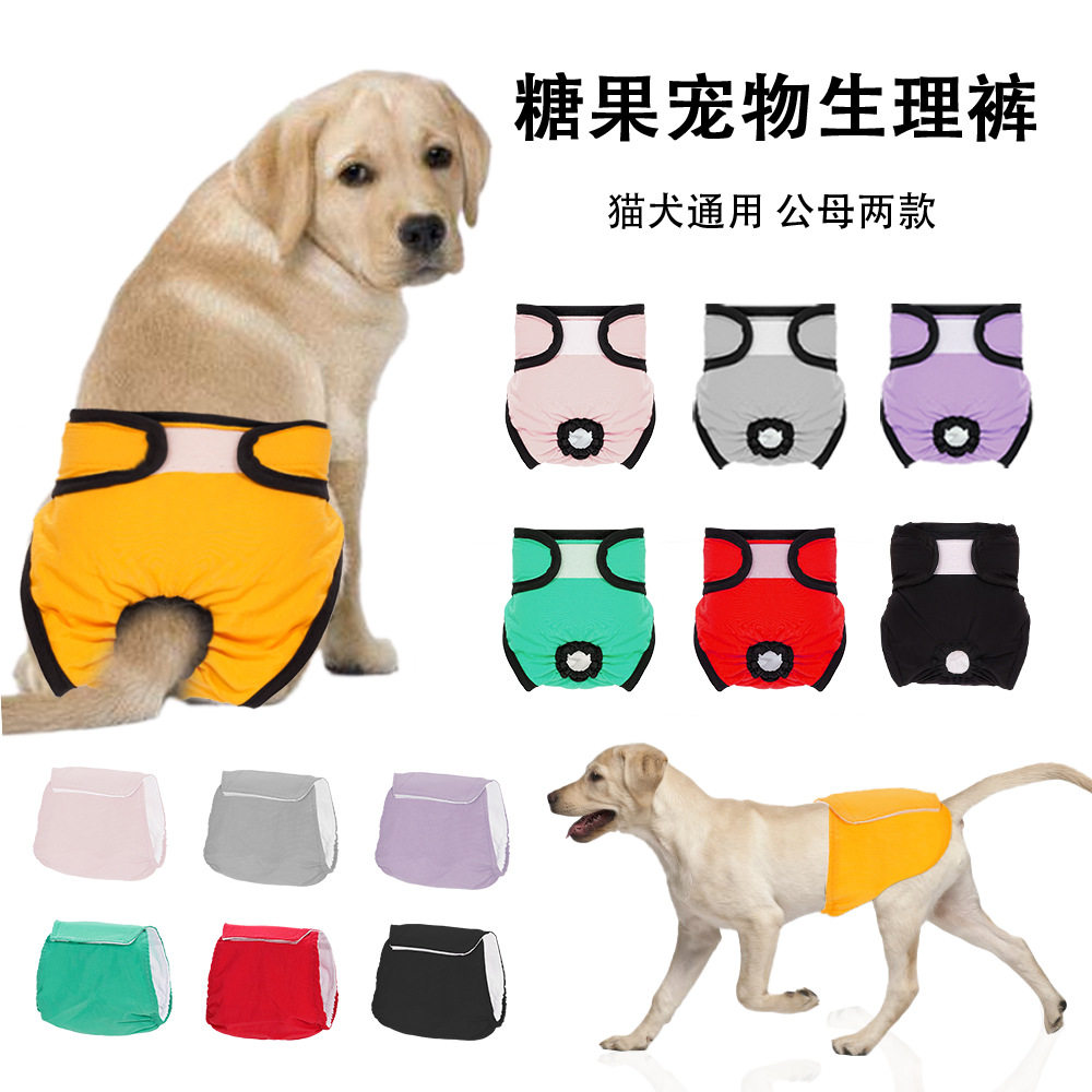 狗狗防交配生理裤宠物裤猫咪